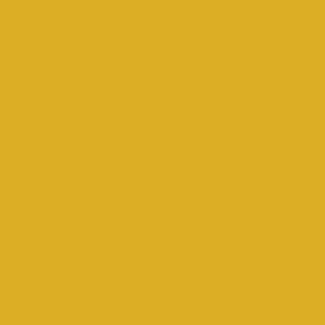 RAL 1004 Aerosol Spray Paint Golden Yellow